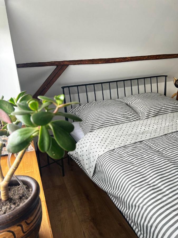 Malinowa Chatka Jankowice  Buitenkant foto
